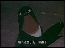 小燕子 圖10