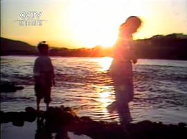 一剪梅 圖7
