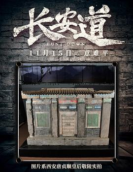 長安道觀看 圖10