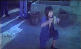 癲螳螂 圖1