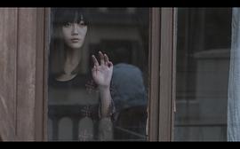 含羞草 圖2