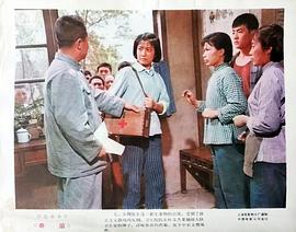 春苗 圖4
