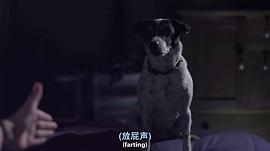 狗狗为主人复仇电影 图2