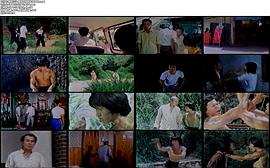 醉蛇小子 圖3