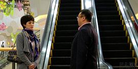 劉濤主演的影視作品 圖10