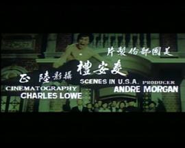 李小龍的生與死 圖3