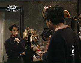 香港电视剧烈火雄风免费播放 图9