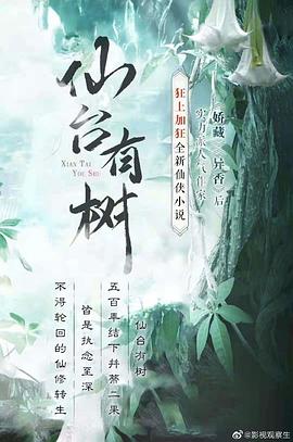 仙台有树 图1