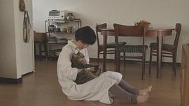 猫与好天气 图3