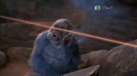 剛果驚魂 圖2