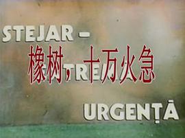橡樹，十萬火急 圖10