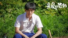 親愛的爸媽免費(fèi)觀看完整版電視劇 圖4