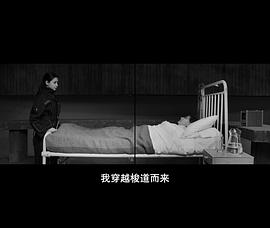 體外 圖7