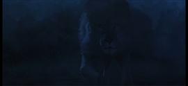 黑色幽灵电影狮子 图3