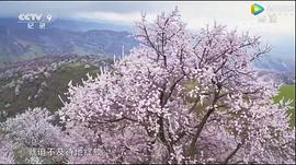 航拍中國 第一季 圖8