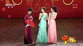 2013年中央電視臺(tái)元宵晚會(huì) 圖10