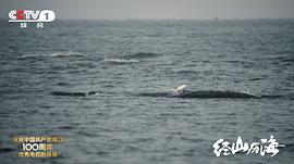 王麗坤經(jīng)山歷海 圖7