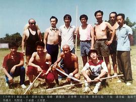少林寺电影1982李连杰 图2