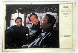 離婚 圖5
