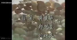 紅紅的雨花石 圖4