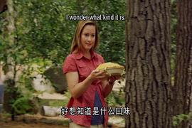 瑜伽熊 圖7