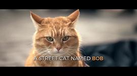流浪猫鲍勃1免费观看完整版 图8