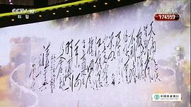 中国诗词大会第三季央视网 图10