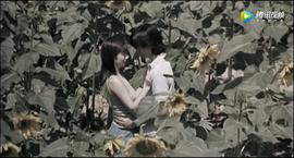 停不了的愛 圖10