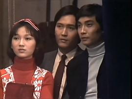 大亨1978粤语 图7
