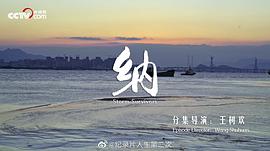 人生第二次 图5