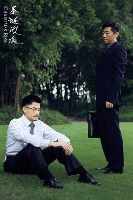 圣诞玫瑰 图3