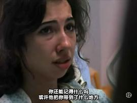 盾牌 第六季 图5