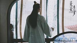 蔓蔓青蘿 圖4