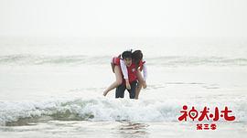 神犬小七 第三季 圖1