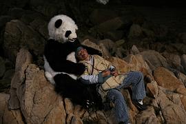 熊猫大侠图片 图1
