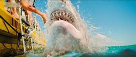 电影鲨海逃生免费版 图4
