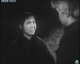 昆侖山上一棵草 圖2
