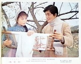 梅花巾 圖7