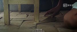 樹上有個好地方下載迅雷 圖7