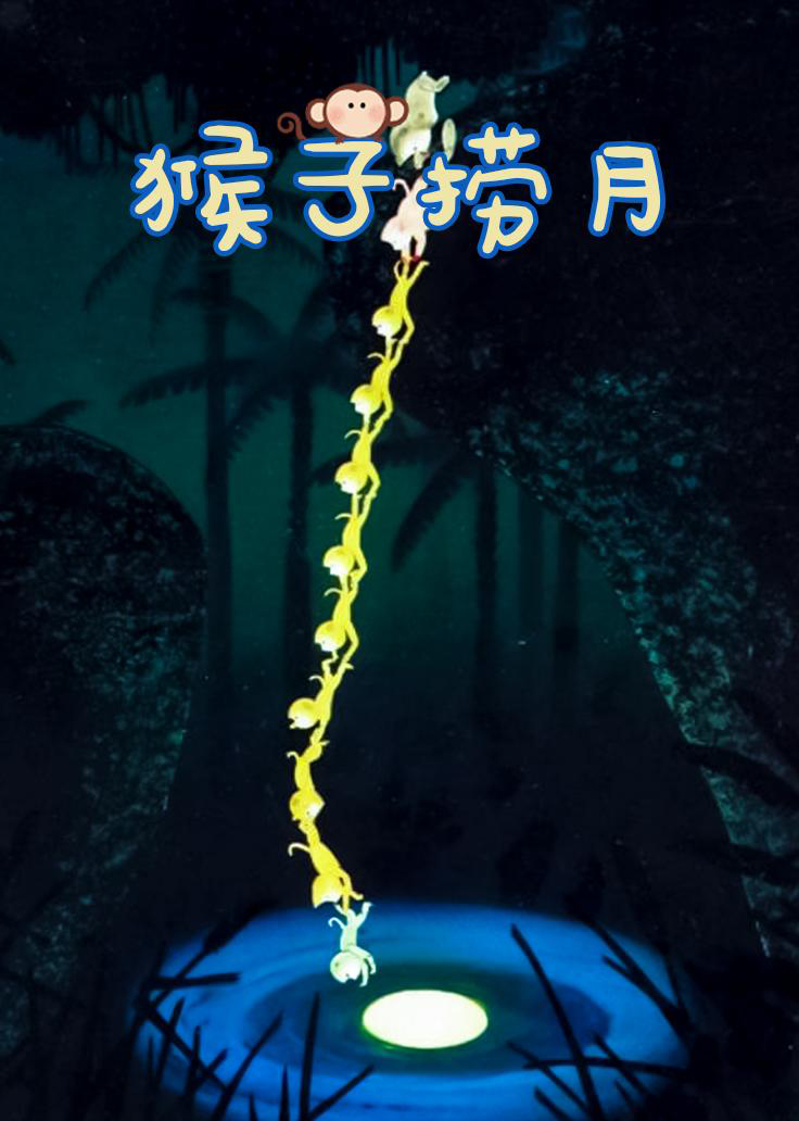 猴子撈月