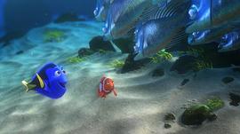海底总动员电影免费观看完整版 图8