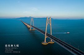 港珠澳大桥电影简介20个字 图4