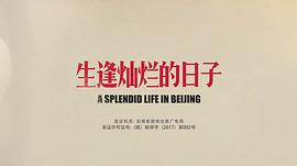 生逢燦爛的日子 圖9