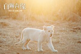 电影白狮传奇 图5