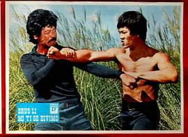 金色太陽(yáng) 圖5