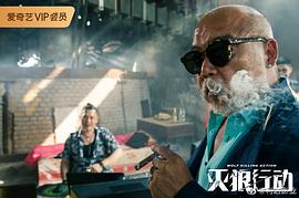 滅狼行動(dòng) 圖8