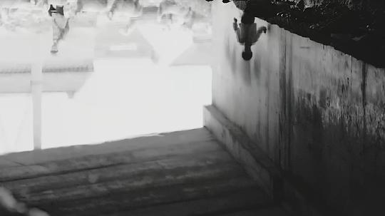 八月