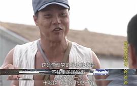 敵后便衣隊(duì)傳奇 圖1