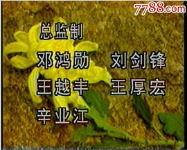 冯白驹将军 图3