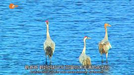 鸟瞰德国 图3